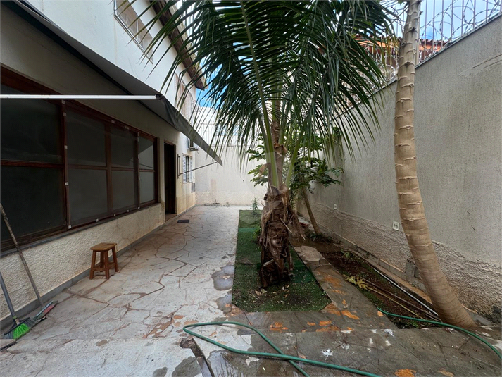 Foto REO1116791