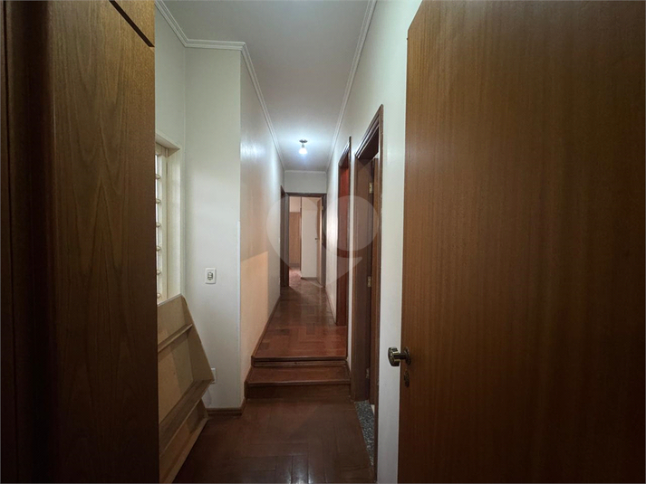 Foto REO1116791