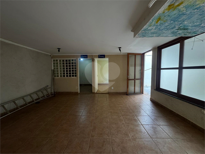 Foto REO1116791