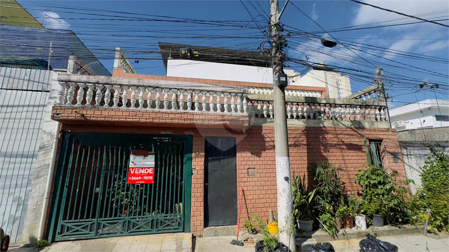 Foto REO1116798