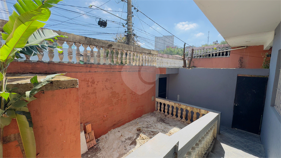 Foto REO1116798
