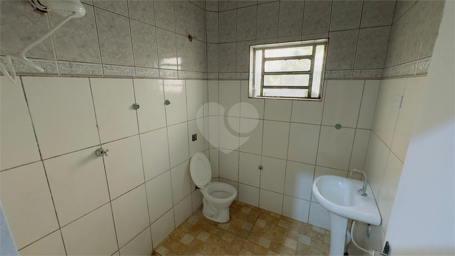 Foto REO1116798