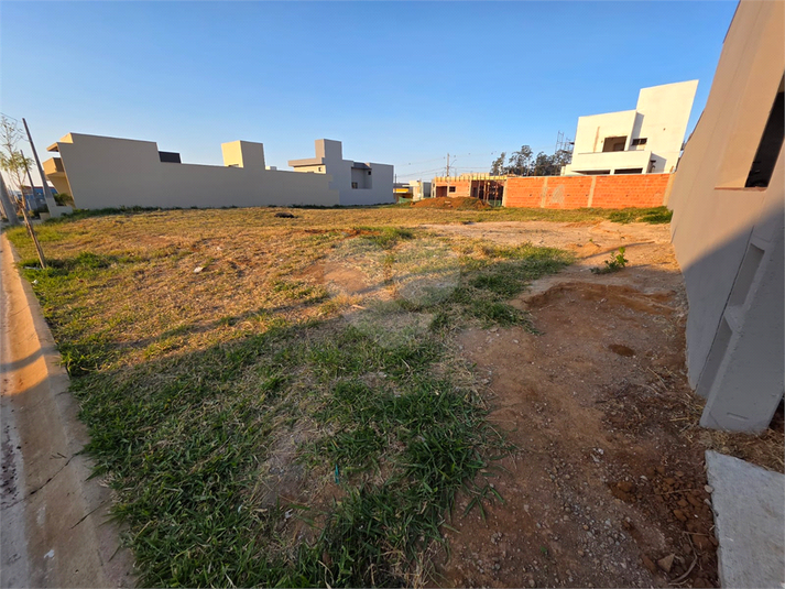 Foto REO1116810