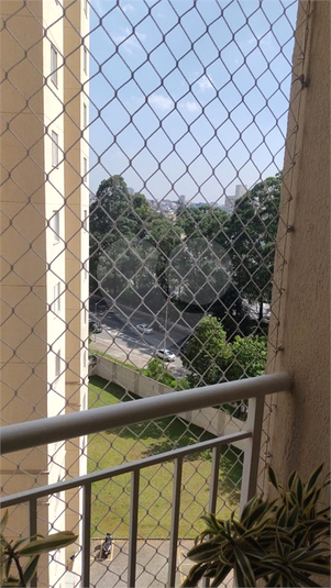 Foto REO1116818