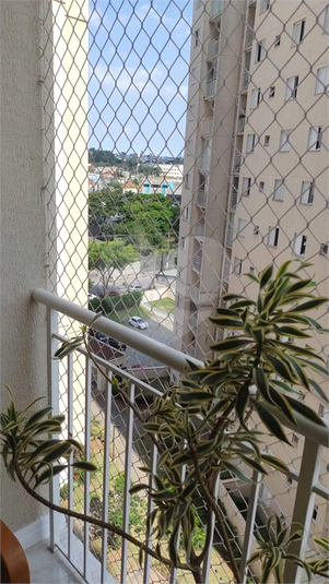 Foto REO1116818