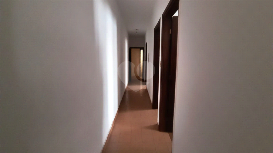 Foto REO1116827
