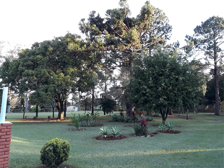 Foto REO1116838