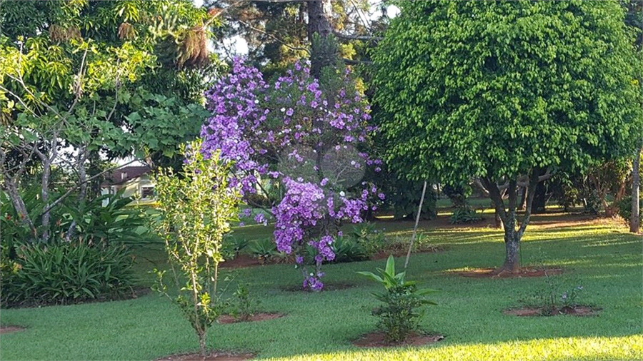 Foto REO1116838