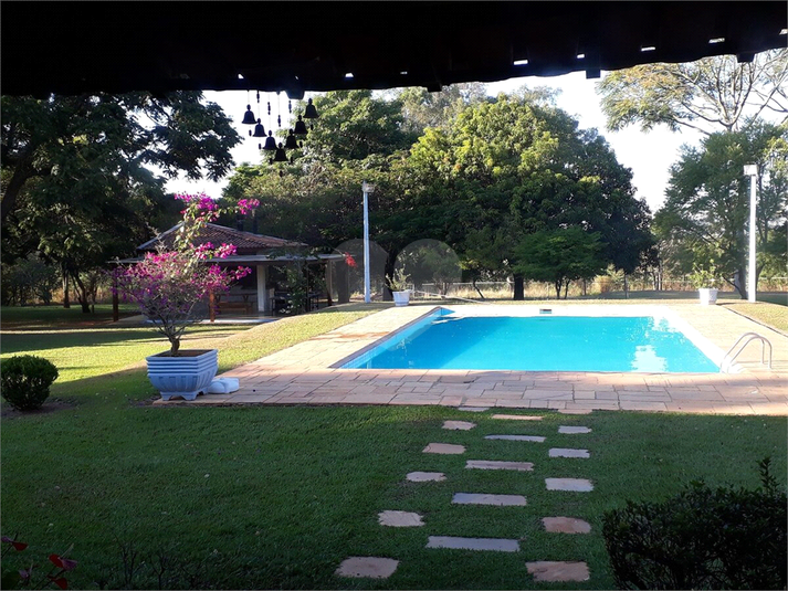 Foto REO1116838
