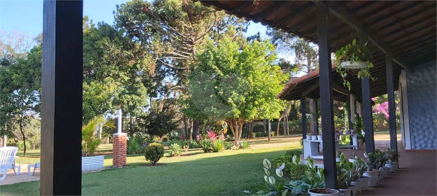 Foto REO1116838
