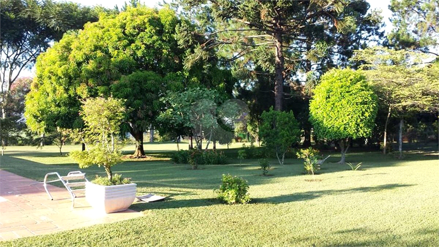 Foto REO1116838