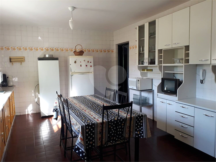 Foto REO1116838