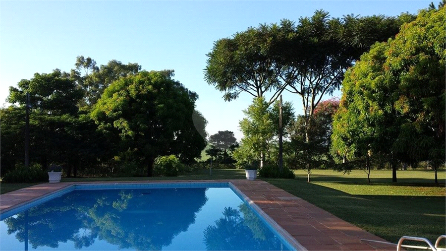Foto REO1116838