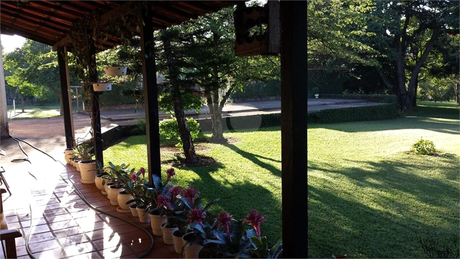 Foto REO1116838