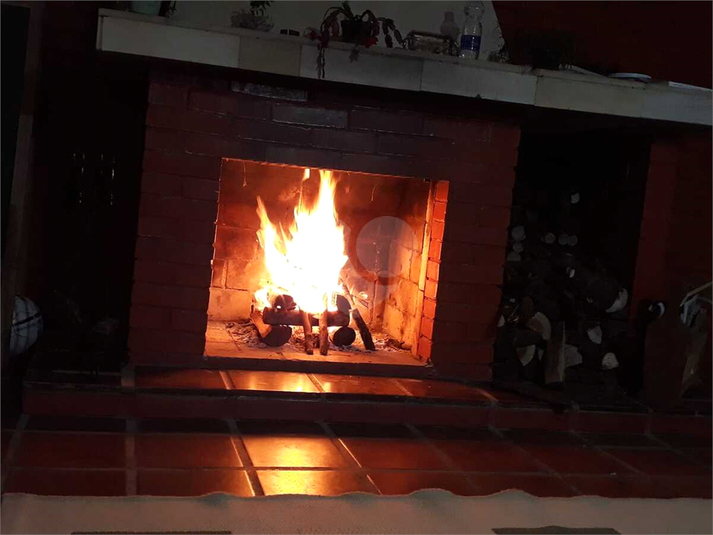 Foto REO1116838