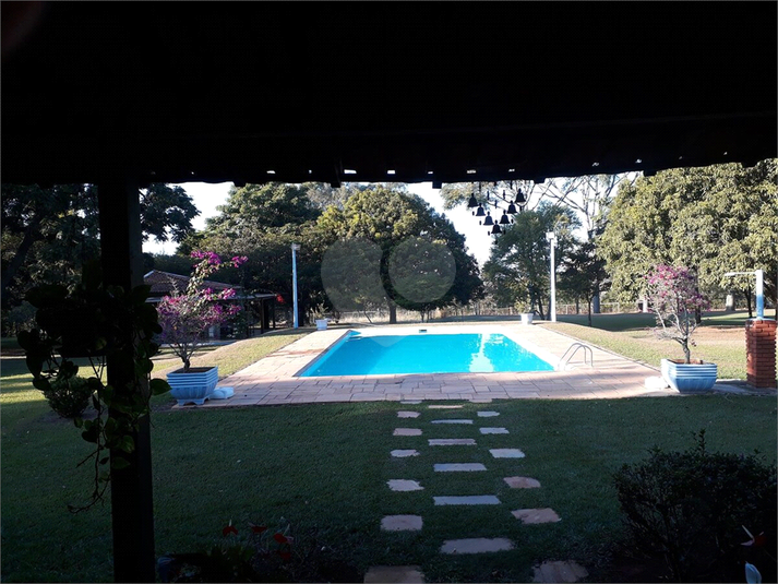 Foto REO1116838