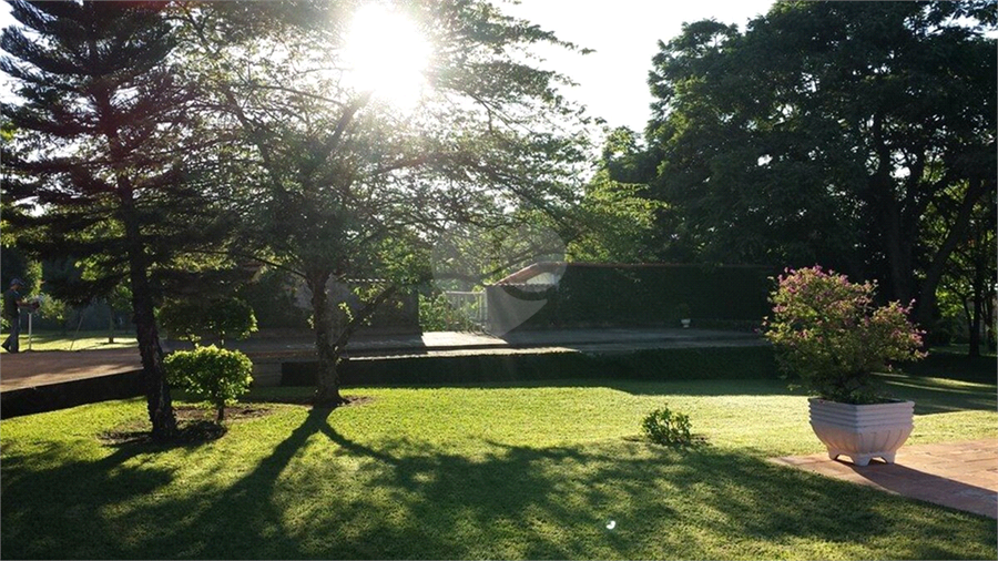 Foto REO1116838