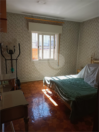 Foto REO1116848