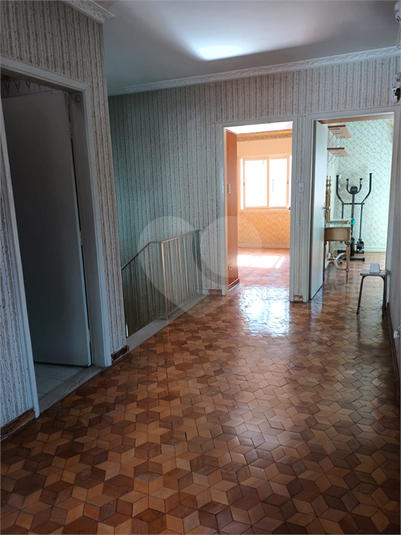 Foto REO1116848
