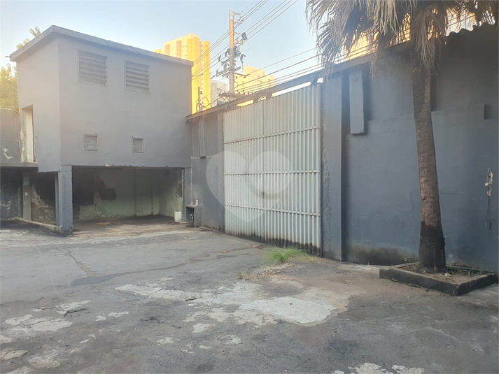Foto REO1116850