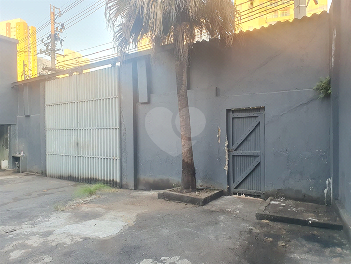 Foto REO1116850