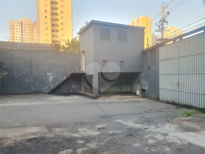 Foto REO1116850