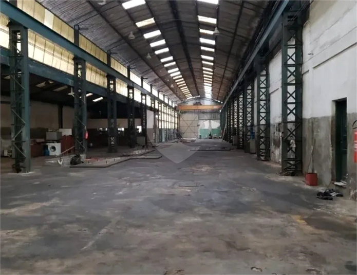 Foto REO1116850