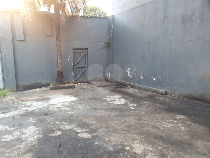 Foto REO1116850