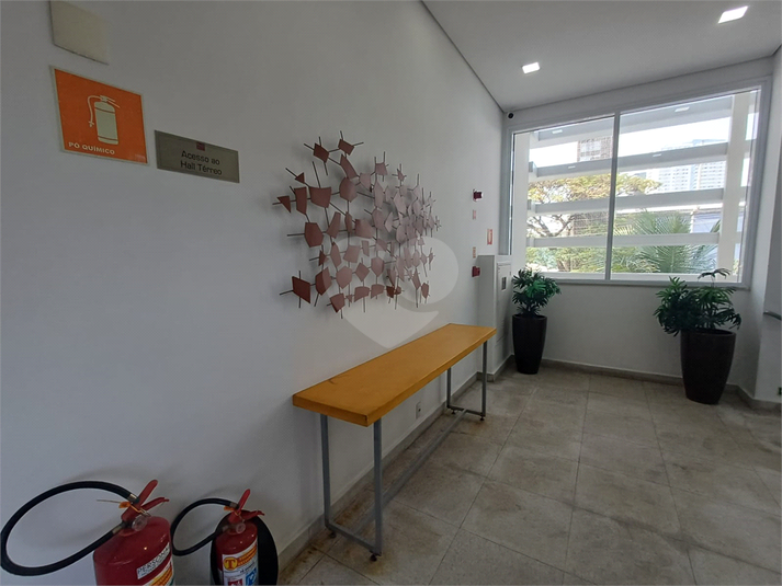 Foto REO1116871