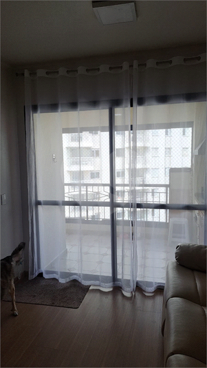 Foto REO1116876