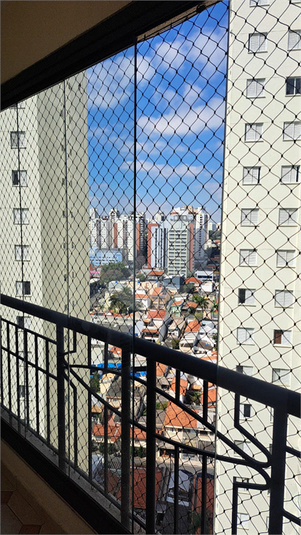 Foto REO1116876