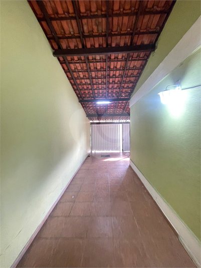 Foto REO1116877