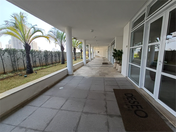 Foto REO1116896
