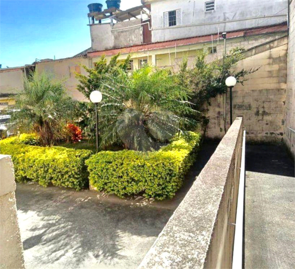 Foto REO1116900