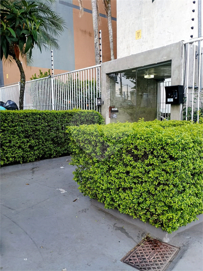 Foto REO1116904