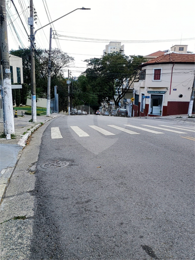 Foto REO1116904