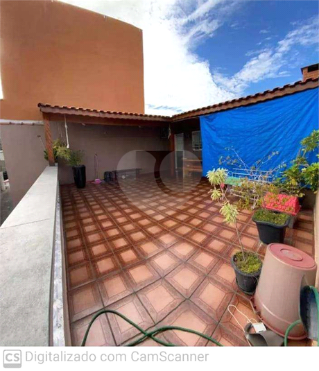 Foto REO1116908