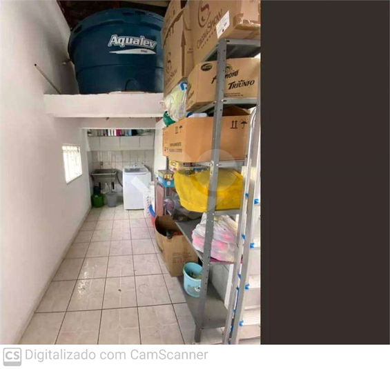 Foto REO1116908