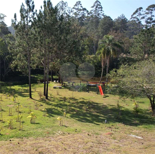 Foto REO1116917