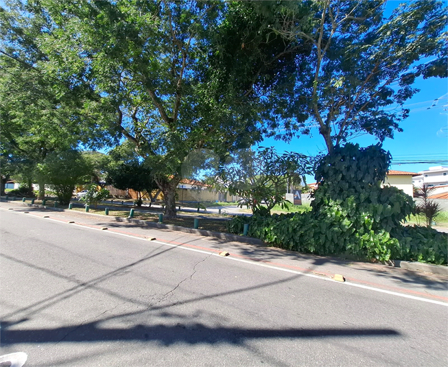 Foto REO1116918