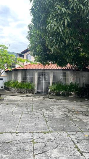 Foto REO1116920