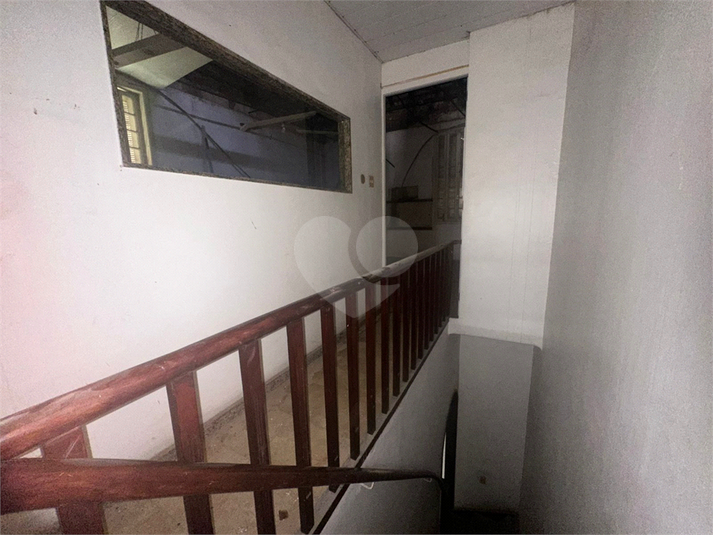 Foto REO1116927