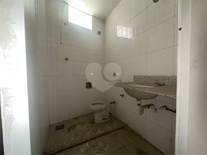 Foto REO1116927