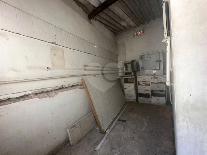 Foto REO1116927