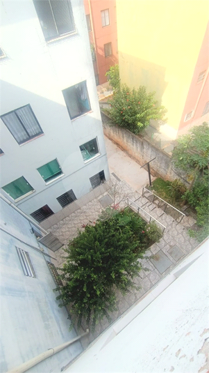 Foto REO1116935