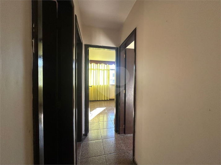 Foto REO1116943