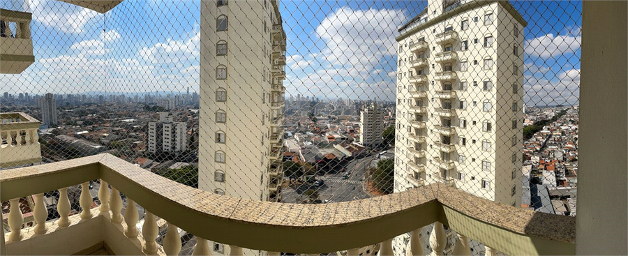 Foto REO1116948