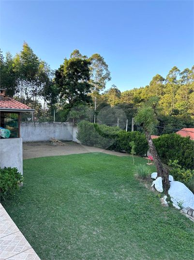 Foto REO1116950