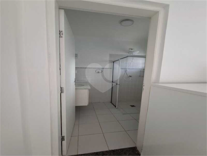 suite edícula