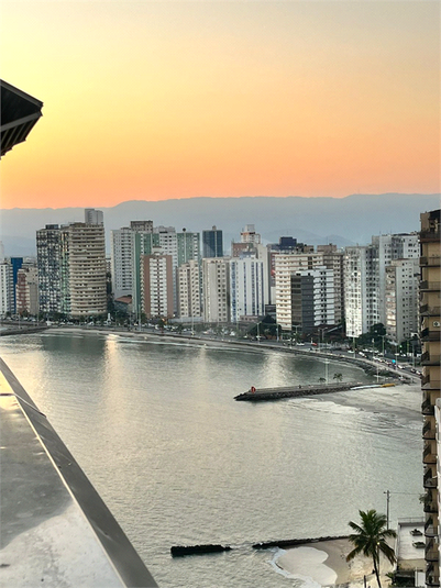 Foto REO1116965